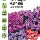 ГАВРИШ УД СЕМЕНА ОБРИЕТА ЧАРУЮЩИЙ МАРОККО  0,05Г