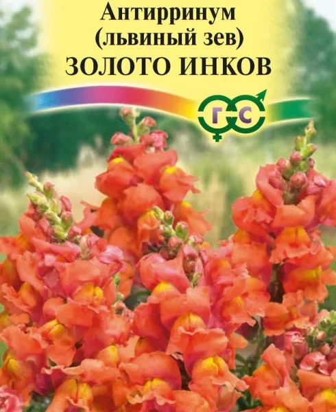 ГАВРИШ АНТИРРИНУМ (ЛЬВИНЫЙ ЗЕВ) ЗОЛОТО ИНКОВ* 0,05 Г DH