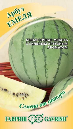 ГАВРИШ АРБУЗ ЕМЕЛЯ 5 ШТ. С БЕЛОЙ МЯКОТЬЮ! АВТОР.