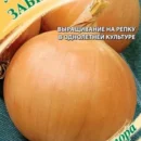 ГАВРИШ ЛУК РЕПЧАТЫЙ ЗАБИЯКА 1,0 Г