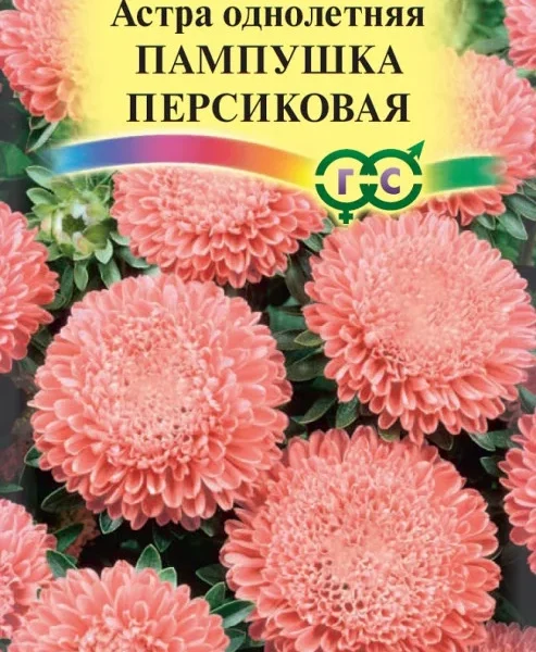 ГАВРИШ АСТРА ПАМПУШКА ПЕРСИКОВАЯ 0,3 Г, ПОМПОННАЯ