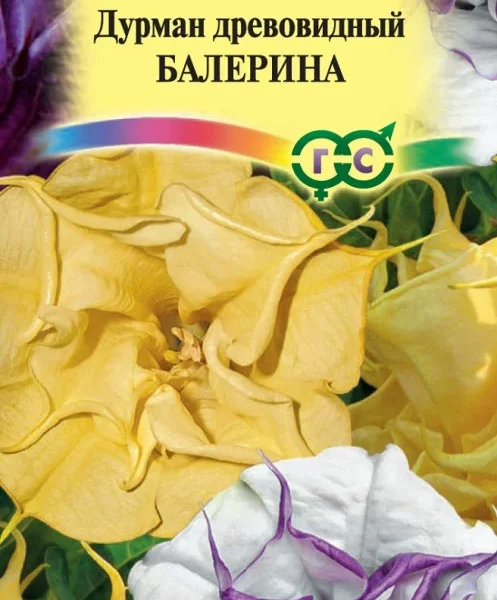 ГАВРИШ ДУРМАН БАЛЕРИНА СМЕСЬ МАХРОВАЯ 3 ШТ