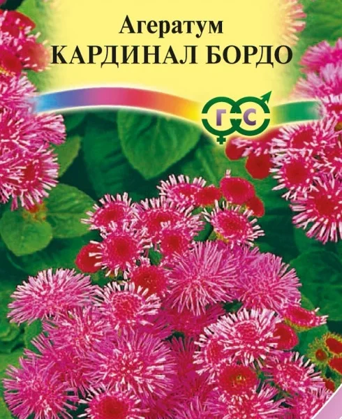 ГАВРИШ АГЕРАТУМ КАРДИНАЛ БОРДО  0,1Г