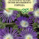 ГАВРИШ ДЕЛОСПЕРМА ОБИЛЬНОЦВЕТУЩАЯ ОГНИ БОЛЬШОГО ГОРОДА ГРАН.ПРОБИРКА 7 ШТ Н22