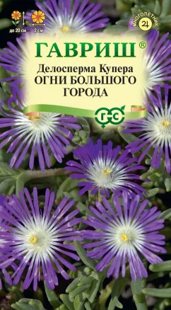 ГАВРИШ ДЕЛОСПЕРМА ОБИЛЬНОЦВЕТУЩАЯ ОГНИ БОЛЬШОГО ГОРОДА ГРАН.ПРОБИРКА 7 ШТ Н22