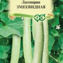 ГАВРИШ ЛАГЕНАРИЯ ЗМЕЕВИДНАЯ 5ШТ