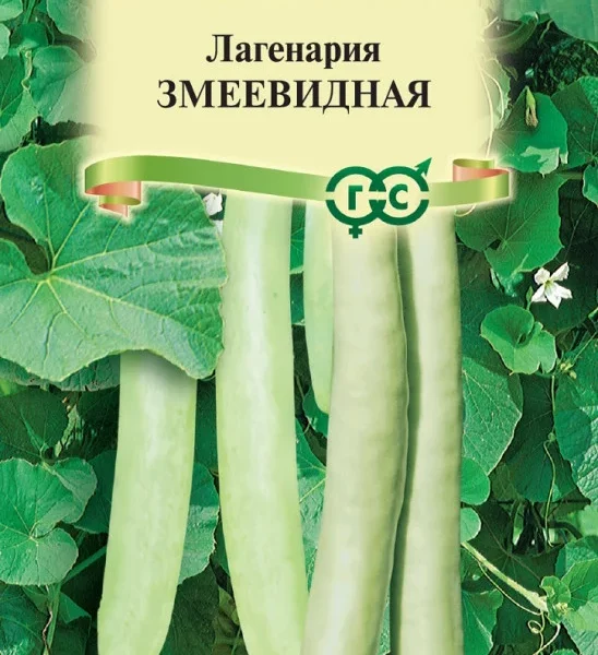 ГАВРИШ ЛАГЕНАРИЯ ЗМЕЕВИДНАЯ 5ШТ