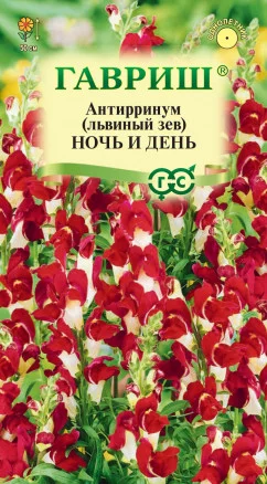 ГАВРИШ АНТИРРИНУМ (ЛЬВИНЫЙ ЗЕВ) НОЧЬ И ДЕНЬ 0,05Г Н21