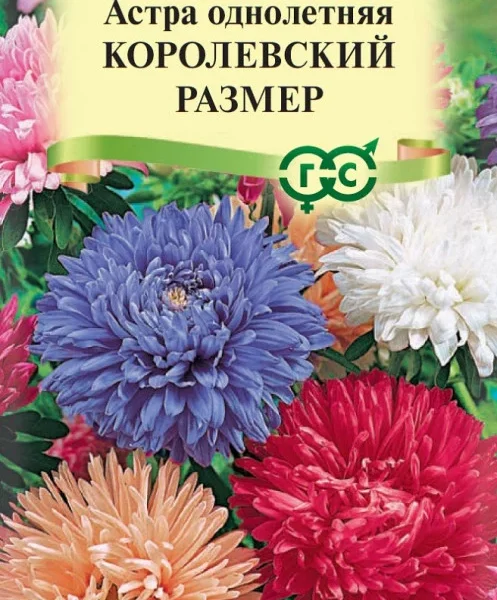 ГАВРИШ АСТРА КОРОЛЕВСКИЙ РАЗМЕР СМЕСЬ 0,3Г