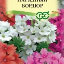 ГАВРИШ ВЕРБЕНА НАРЯДНЫЙ БОРДЮР, ГИБРИДНАЯ*  0,05 Г