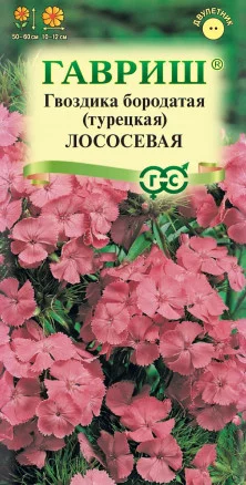 ГАВРИШ ГВОЗДИКА БОРОДАТАЯ (ТУРЕЦКАЯ) ЛОСОСЕВАЯ 0,1 Г