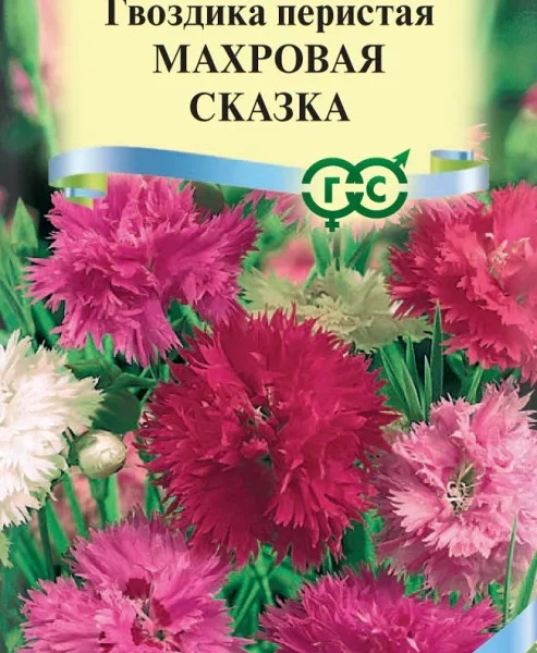 ГАВРИШ ГВОЗДИКА ПЕРИСТАЯ МАХРОВАЯ СКАЗКА СМЕСЬ 0,1Г, СЕРИЯ АЛЬПИЙСКАЯ ГОРКА