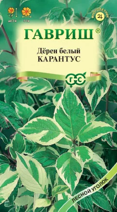 ГАВРИШ ДЕРЕН БЕЛЫЙ КАРАНТУС 0,1 Г