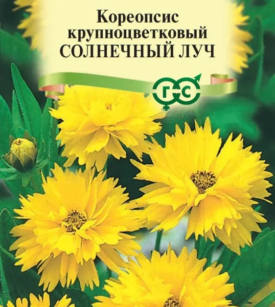 ГАВРИШ КОРЕОПСИС СОЛНЕЧНЫЙ ЛУЧ  0,1 Г