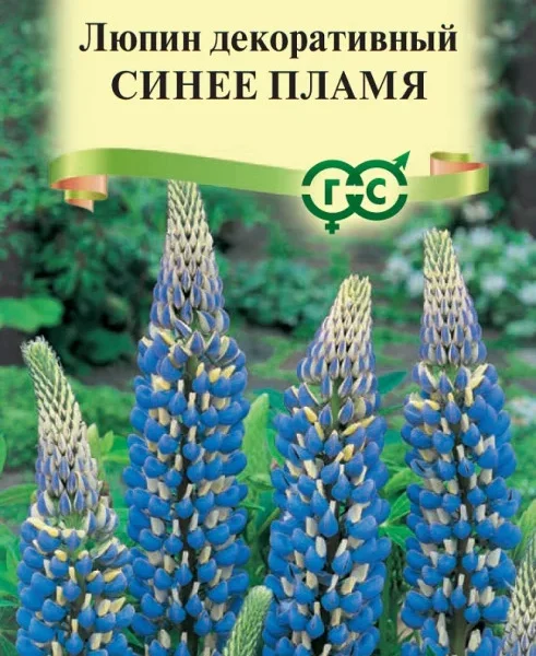 ГАВРИШ ЛЮПИН РАССЕЛА СИНЕЕ ПЛАМЯ 0,5Г