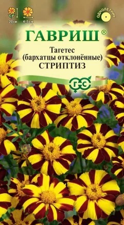 ГАВРИШ БАРХАТЦЫ ОТКЛ. СТРИПТИЗ ТАГЕТЕС 0,3Г