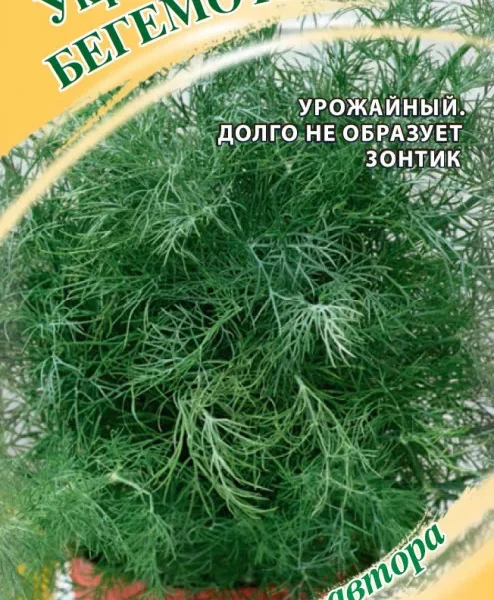ГАВРИШ УКРОП БЕГЕМОТИК 1,0 Г АВТОР. Н21