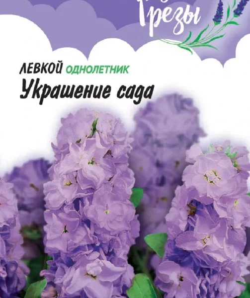 ГАВРИШ ЛЕВКОЙ СЕДОЙ УКРАШЕНИЕ САДА* 0,05 Г СЕРИЯ ЛАВАНДОВЫЕ ГРЁЗЫ H20