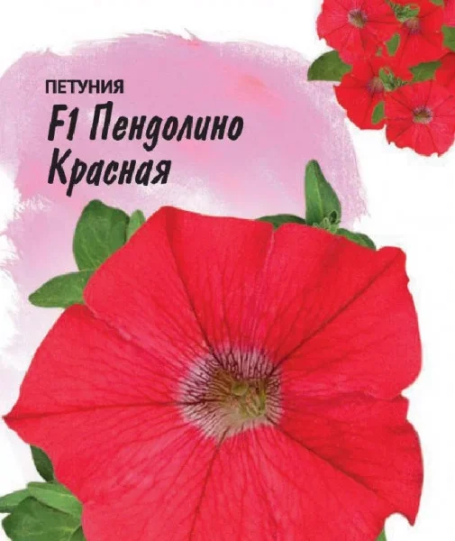 ГАВРИШ ПЕТУНИЯ ПЕНДОЛИНО КРАСНАЯ F1 МНОГОЦВ. 7 ШТ. ГРАНУЛ. ПРОБИРКА, СЕРИЯ ФАРАО