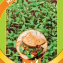 ГАВРИШ МИКРОЗЕЛЕНЬ МАНГОЛЬД МИКС 5 Г СЕРИЯ BIO GREENS