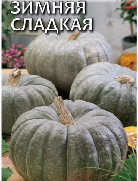 ГАВРИШ ТЫКВА ЗИМНЯЯ СЛАДКАЯ 2,0ГР