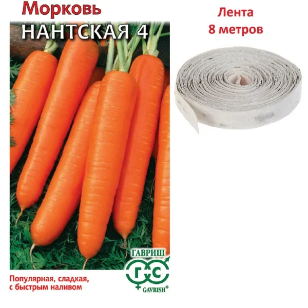 ГАВРИШ МОРКОВЬ НА ЛЕНТЕ НАНТСКАЯ 4 8М