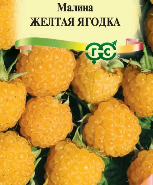 ГАВРИШ МАЛИНА ЖЕЛТАЯ ЯГОДКА 10ШТ