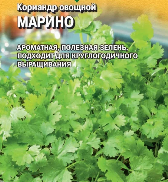 ГАВРИШ КОРИАНДР МАРИНО 1,0 Г (ГОЛЛАНДИЯ) Н24