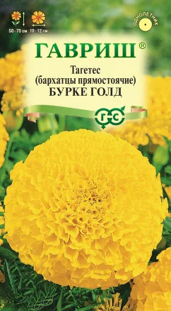 ГАВРИШ БАРХАТЦЫ ПР. БУРКЕ ГОЛД (ТАГЕТЕС) 0,3 Г
