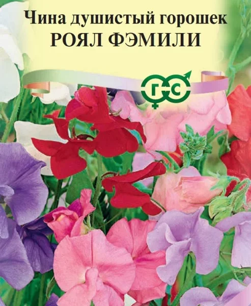 ГАВРИШ ДУШИСТЫЙ ГОРОШЕК РОЯЛ ФЭМИЛИ СМЕСЬ 1ГР