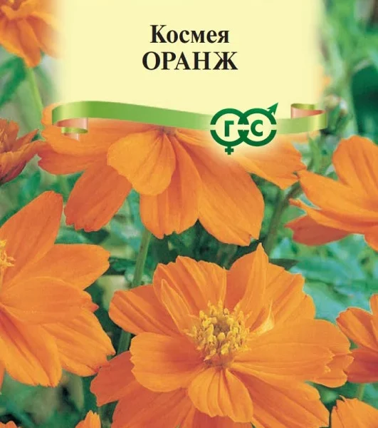 ГАВРИШ КОСМЕЯ ОРАНЖ МАХРОВАЯ 0,3