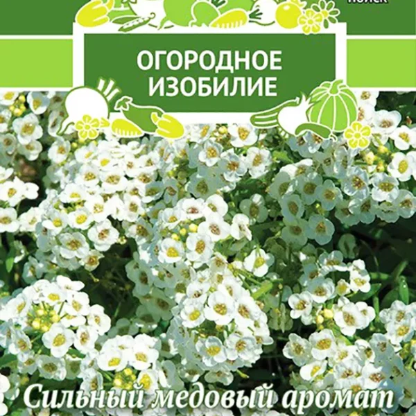 ПОИСК АЛИССУМ БИМБО БЕЛЫЙ (ОГОРОДНОЕ ИЗОБИЛИЕ) ("1) 0,3Г