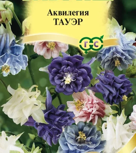 ГАВРИШ АКВИЛЕГИЯ ТАУЭР ОБЫКНОВЕННАЯ СМЕСЬ* 10 ШТ. СЕРИЯ ЭЛИТНАЯ КЛУМБА H23