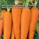 ГАВРИШ МОРКОВЬ АБАКО F1 150 ШТ