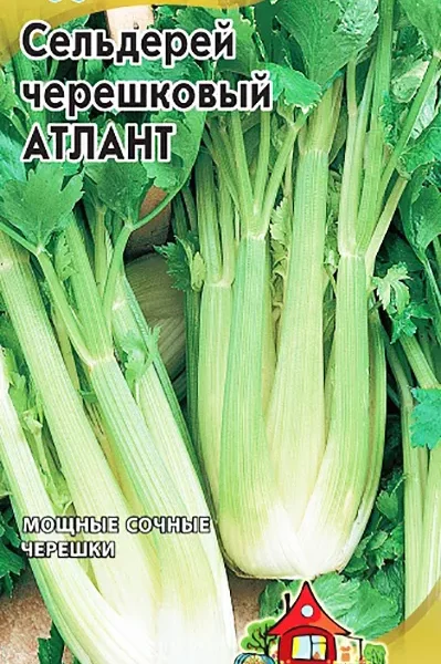 ГАВРИШ СЕЛЬДЕРЕЙ ЧЕРЕШКОВЫЙ АТЛАНТ* 0,1 Г