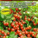АЭЛИТА ТОМАТ САХАРНАЯ ГРОЗДЬ Ц/П 20 шт
