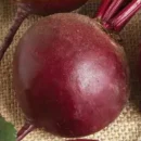 ПОИСК ВЕСОВЫЕ СЕМЕНА СВЕКЛА СТОЛОВАЯ ЭФИОПКА, КГ