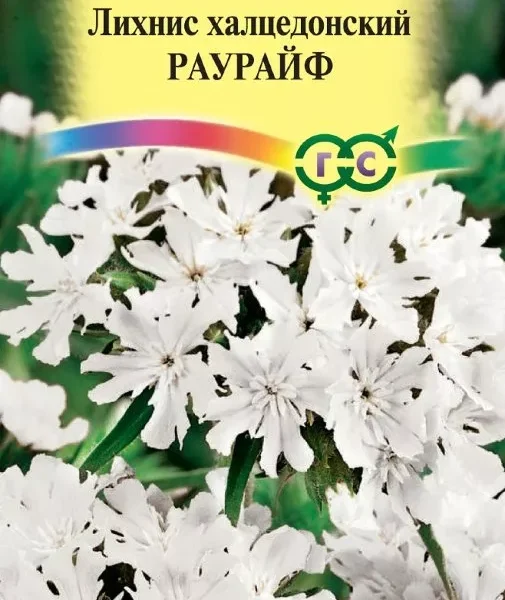 ГАВРИШ ЛИХНИС ХАЛЦЕДОНСКИЙ РАУРАЙФ 0,1Г