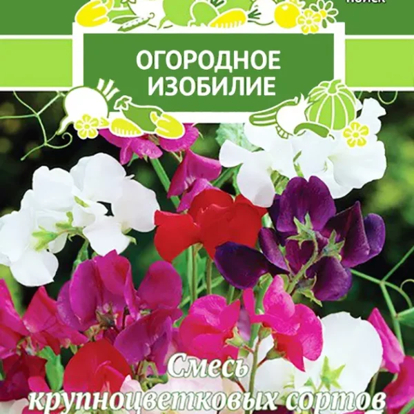 ПОИСК ДУШИСТЫЙ ГОРОШЕК КАЗАЧОК (ОГОРОДНОЕ ИЗОБИЛИЕ) ("1) 2ГР