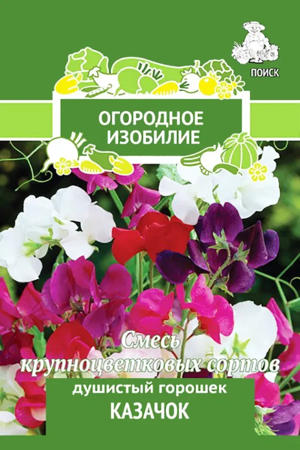 ПОИСК ДУШИСТЫЙ ГОРОШЕК КАЗАЧОК (ОГОРОДНОЕ ИЗОБИЛИЕ) ("1) 2ГР