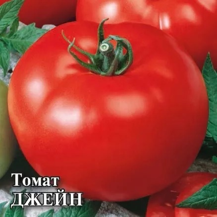 ГАВРИШ ФЕРМЕРСКАЯ ТОМАТ ДЖЕЙН 5ГР