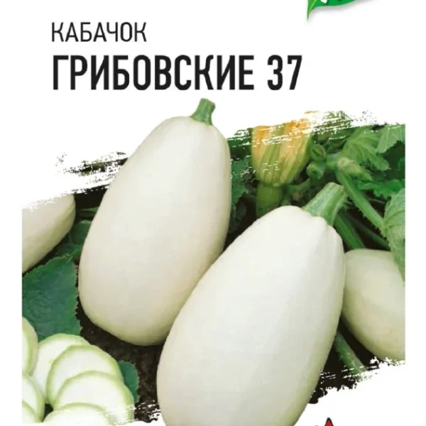 ГАВРИШ КАБАЧОК ГРИБОВСКИЕ 37 1,5 Г ХИТ Х3