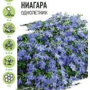 ГАВРИШ УД СЕМЕНА ЛОБЕЛИЯ АМПЕЛЬНАЯ НИАГАРА  0,01Г