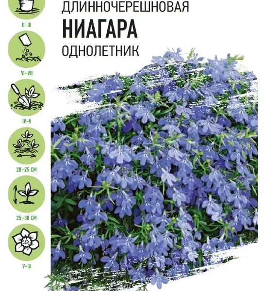 ГАВРИШ УД СЕМЕНА ЛОБЕЛИЯ АМПЕЛЬНАЯ НИАГАРА  0,01Г