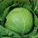 ГАВРИШ КАПУСТА БЕЛОКОЧАННАЯ САХАРНЫЙ ХРУСТ 0,5 Г СЕРИЯ РУССКИЙ ВКУС