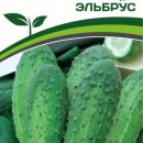 ПАРТНЕР ОГУРЕЦ ЭЛЬБРУС^(1Г)