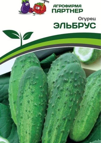 ПАРТНЕР ОГУРЕЦ ЭЛЬБРУС^(1Г)
