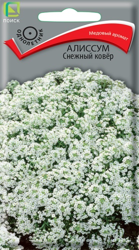 ПОИСК АЛИССУМ СНЕЖНЫЙ КОВЕР (ЧБ) ("1) 0,3ГР.