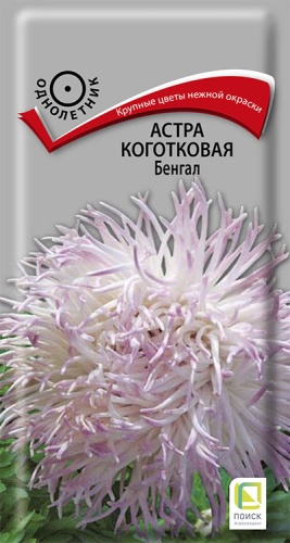 ПОИСК АСТРА КОГОТКОВАЯ БЕНГАЛ (ЦВ) ("1) 0,3ГР