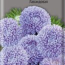 ПОИСК АСТРА (ОДНОЛЕТНЯЯ) ВАЛЕНТИНОВ ДЕНЬ ЛАВАНДОВАЯ (ЦВ)  0,2ГР